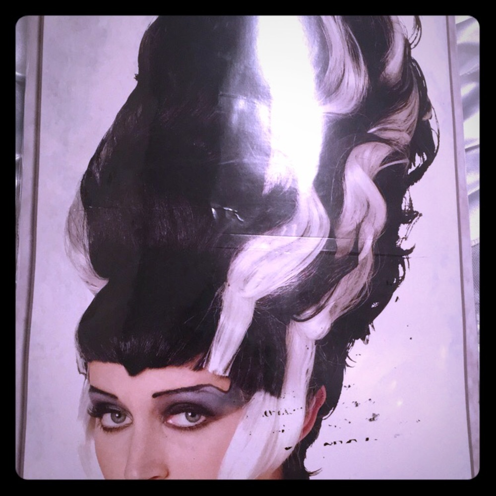 Bride of Frankenstein Wig (brand new)